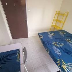 Common Room/1 or 2 person stay/no Owner Staying/No Agent Fee/Cooking allowed/Toa Payoh, Novena, Boon Keng MRT / Available Immediate - Novena 诺维娜 - 分租房间 - Homates 新加坡