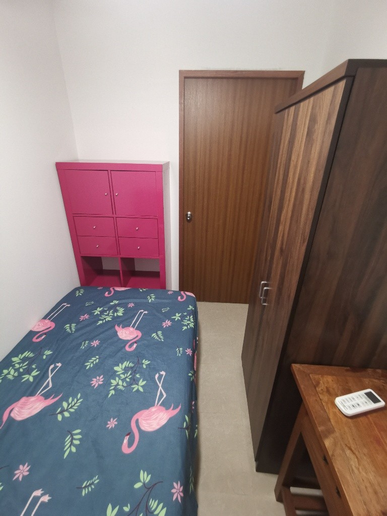 Common Room/ LADIES ONLY/Wifi/No owner staying/No Agent Fee / Cooking allowed/Novena/ Boon Keng / Farrer Park / Available Immediate  - Novena 诺维娜 - 分租房间 - Homates 新加坡