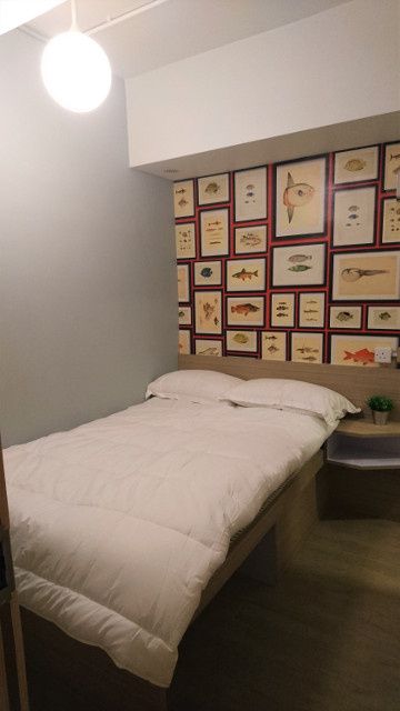 全新裝修時尚舒適住宅套房，交通便利，歡迎正職人士短期租住 - 佐敦/尖沙咀 - 獨立套房 - Homates 香港
