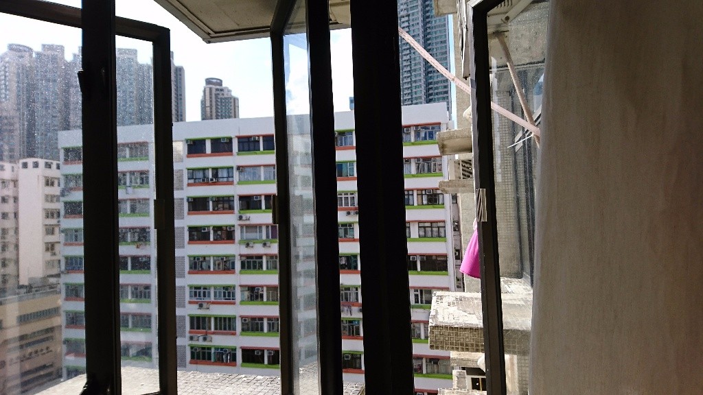 Looking for a female dog-loving housemate to share an apartment with - 土瓜灣 - 住宅 (整間出租) - Homates 香港