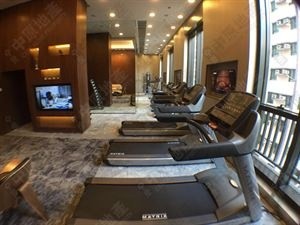 新楼，高级齐全家具，有健身房泳池，距香港大学MTR B2出口步行20s。短租10天。每天500港币。可议。 - 西區 - 住宅 (整間出租) - Homates 香港