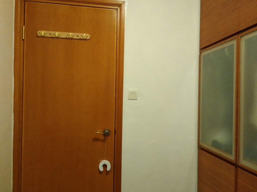 Guest room and Master room - 东涌 - 房间 (合租／分租) - Homates 香港