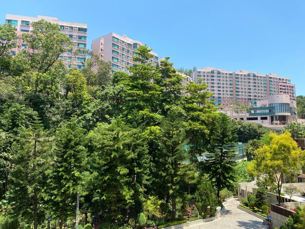 沙田雲頂峰放租 - 1房, 新鴻基屋苑, 低密度, 可養寵物, 傢電齊全 - 沙田/火炭 - 住宅 (整間出租) - Homates 香港