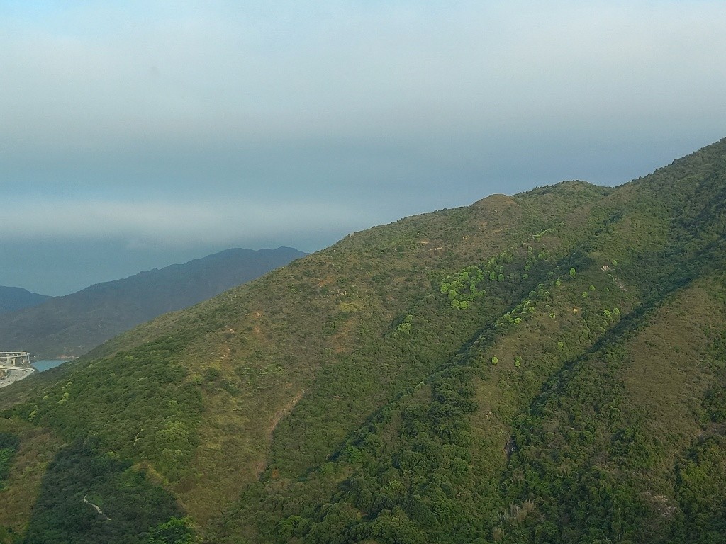 Share Flat - Tung Chung - Flat - Homates Hong Kong