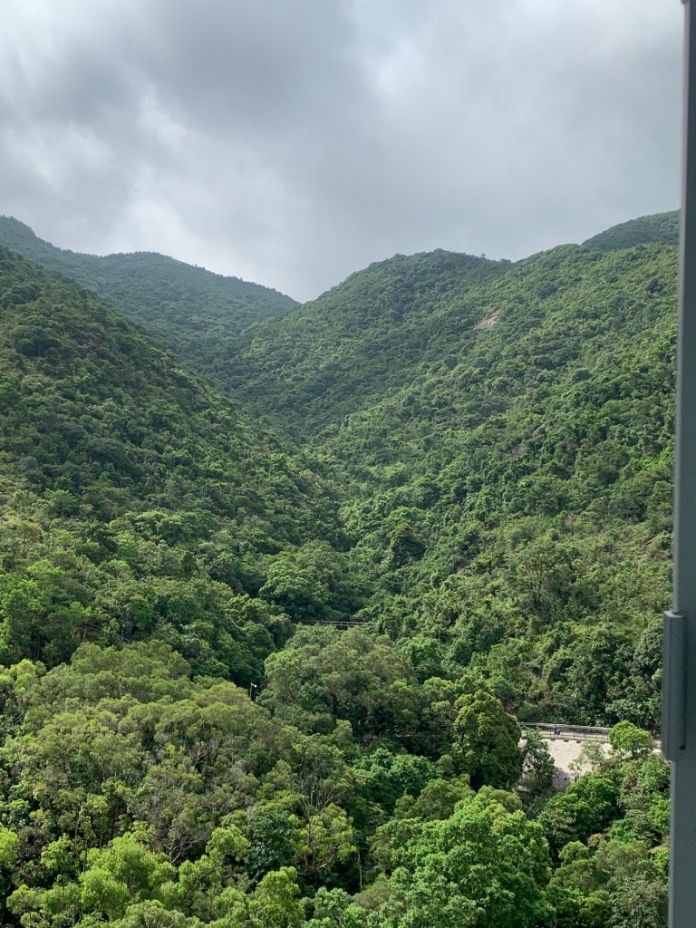 免佣向南山景傢私空調齊單單人房 - 沙田/火炭 - 房间 (合租／分租) - Homates 香港