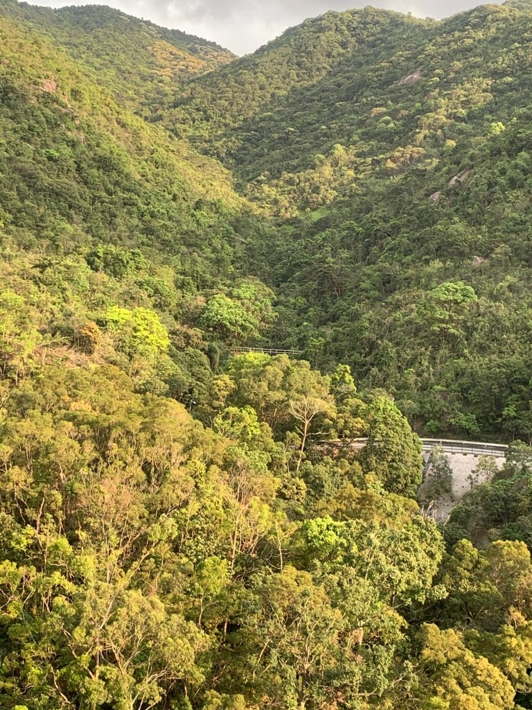 免佣向南山景傢私空調齊單單人房 - 沙田/火炭 - 房間 (合租／分租) - Homates 香港