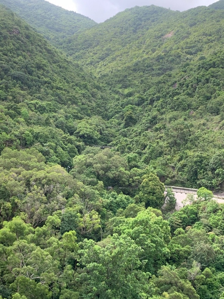 免佣向南山景傢私空調齊單單人房 - 沙田/火炭 - 房间 (合租／分租) - Homates 香港