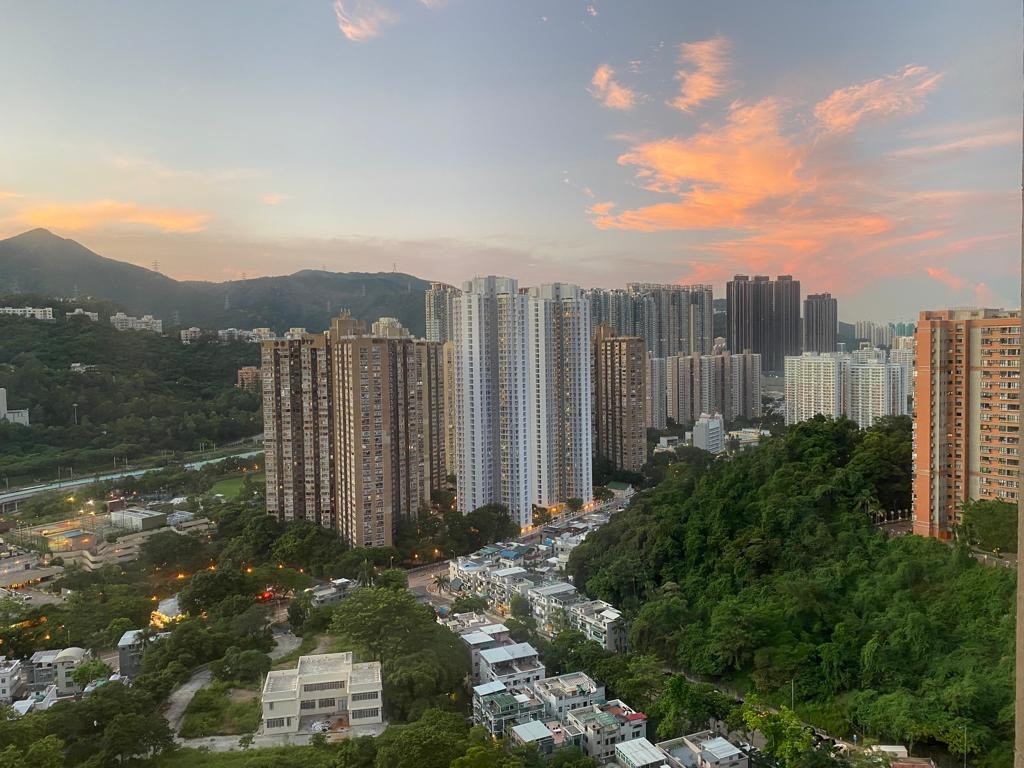 靜中帶旺，高層開揚，純白特式 - Sha Tin/Fo Tan - Flat - Homates Hong Kong