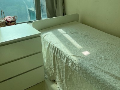 Looking for flatmate  - Caribbean coast