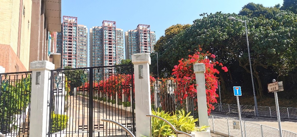 雅裝內園三房兩廁(泳池會所,5分鐘港鐵及巴士站） - Tuen Mun - Flat - Homates Hong Kong