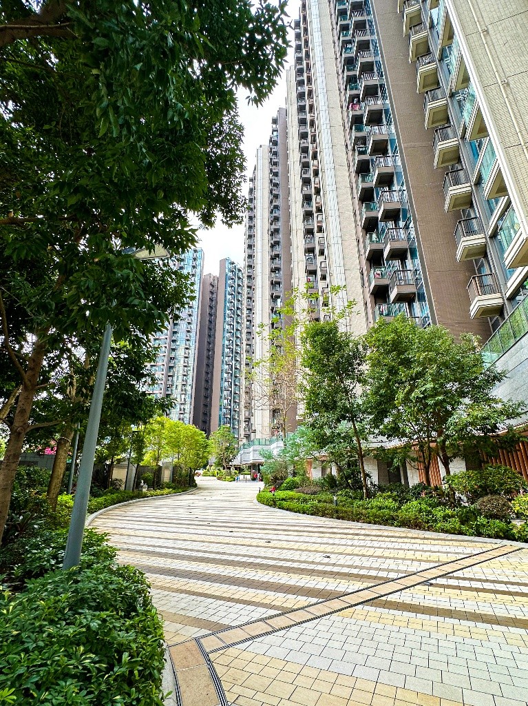 平租！可議價！求好租客！ - Ho Man Tin/Kings Park - Flat - Homates Hong Kong