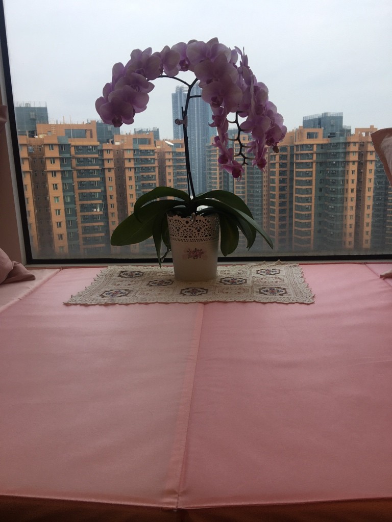 尋找室友 - Hung Hom/Wham Poa - Bedroom - Homates Hong Kong