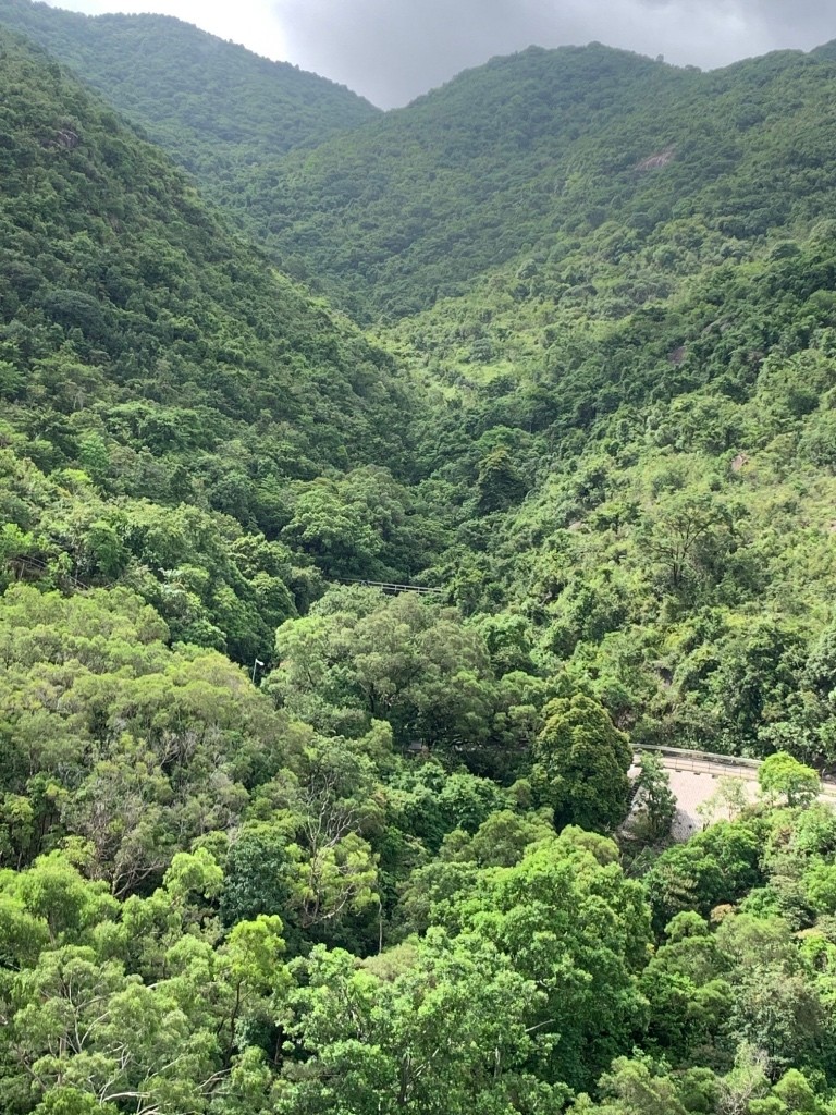 免佣金女生單人房傢俬齊向南山景房子 - 沙田/火炭 - 房间 (合租／分租) - Homates 香港