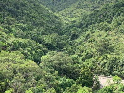 免佣金女生單人房傢俬齊向南山景房子 - 沙田小瀝源路68 號廣林苑（居屋）高層向南山景。＇