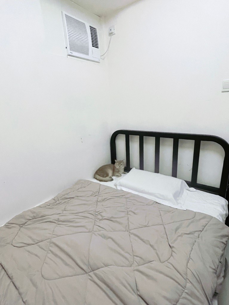 九龍灣兩房 短租 6-9月轉租 女生即住  - Kowloon Bay - Bedroom - Homates Hong Kong