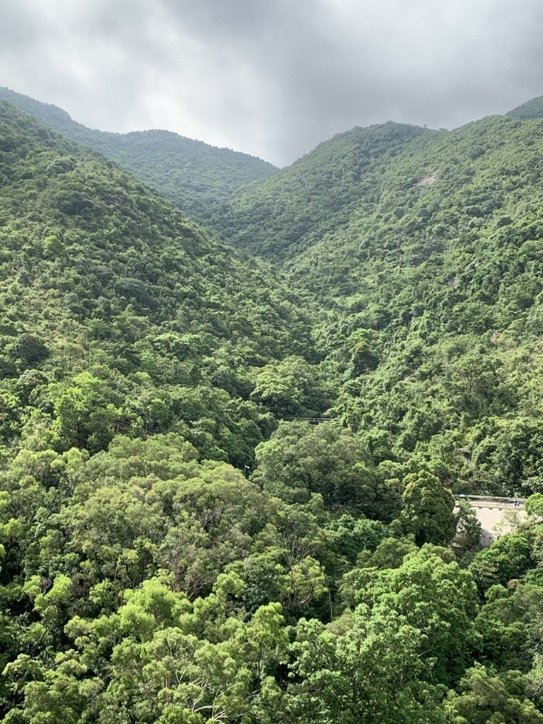 免佣金即入住傢俬設施齊整潔向南全山景四窗單人房 - Sha Tin/Fo Tan - Bedroom - Homates Hong Kong