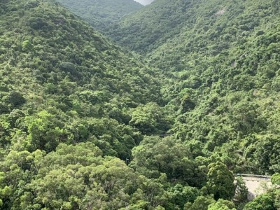 免佣金即入住傢俬設施齊向南全山景四窗單人房 - 沙田廣林苑C座馥林閣