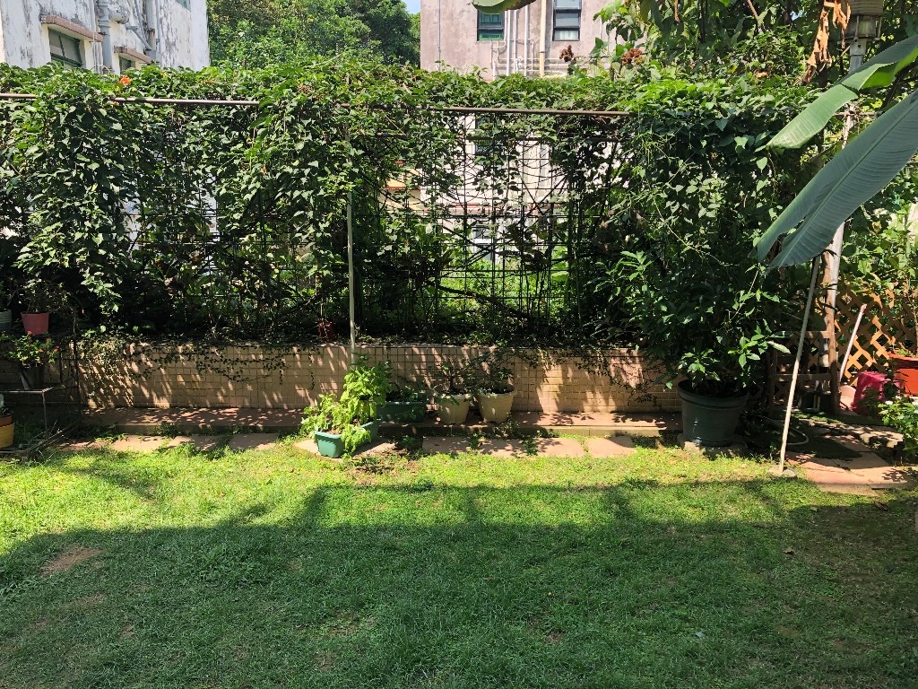 Co-living/working village life  - 東涌 - 房間 (合租／分租) - Homates 香港