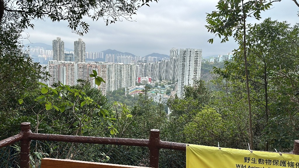 將軍澳中心 - 出租一細房 - 将军澳 - 房间 (合租／分租) - Homates 香港