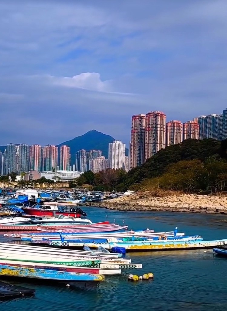 海濱公園海景房 - 將軍澳 - 住宅 (整間出租) - Homates 香港
