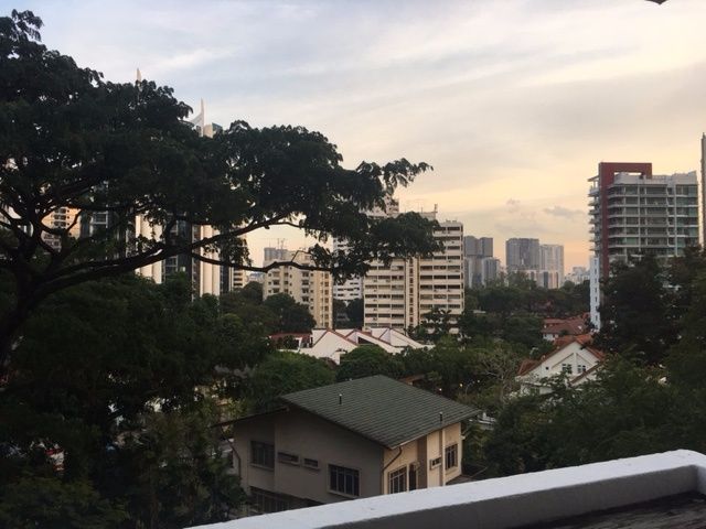 Big and Spacious Common Room near Orchard MRT station (No Owner and No Agent Fees) - Orchard 烏節路 - 整個住家 - Homates 新加坡