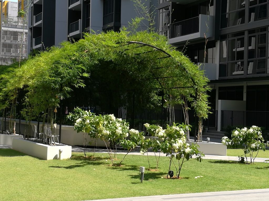 Common Bedroom for Rent Condo Sengkang Mrt/Purple Line, No Agent Fee