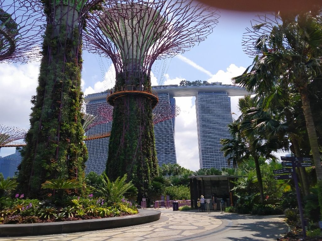 大巴窑角头大房 - Toa Payoh 大巴窑 - 分租房间 - Homates 新加坡