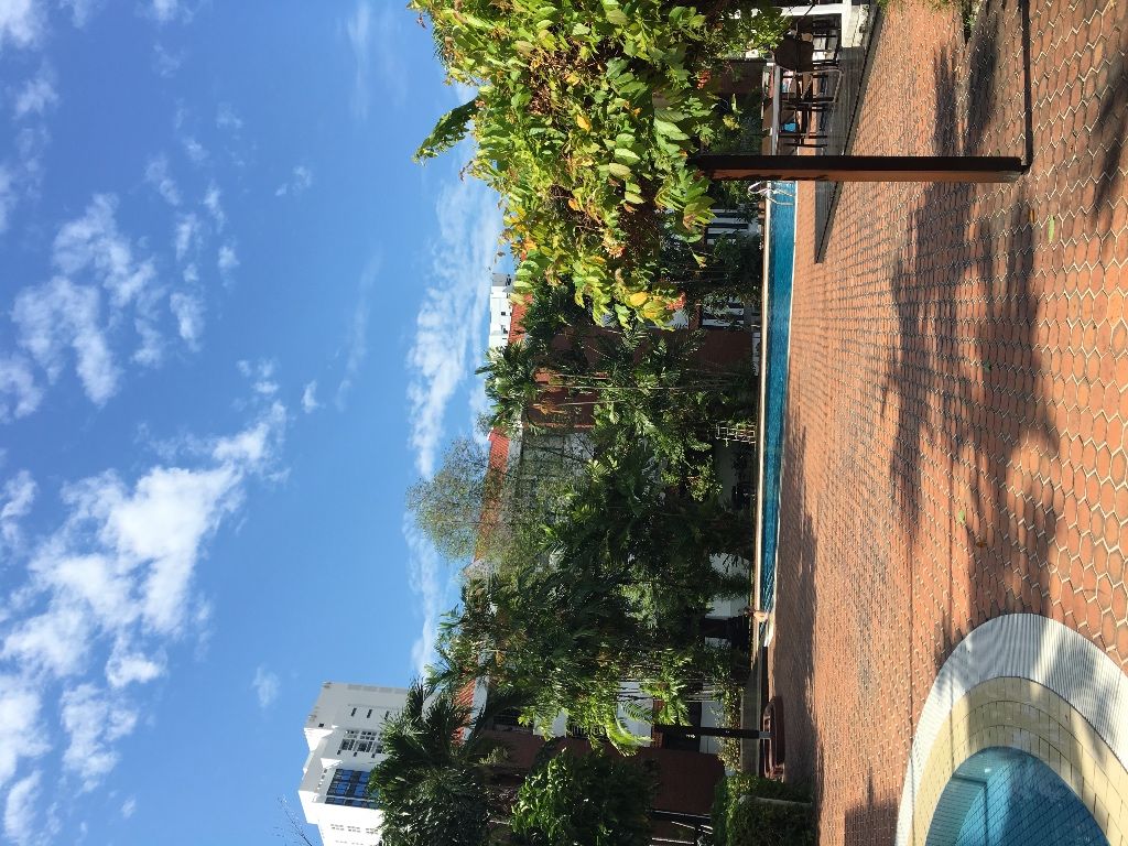 东海岸，Siglap附近，度假村式公寓安静漂亮大主人房，低价出租，拎包入住 - Marine Parade - Bedroom - Homates Singapore