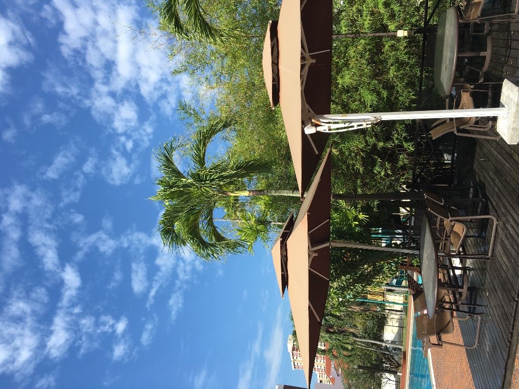 东海岸，Siglap附近，度假村式公寓安静漂亮大主人房，低价出租，拎包入住 - Marine Parade - Bedroom - Homates Singapore