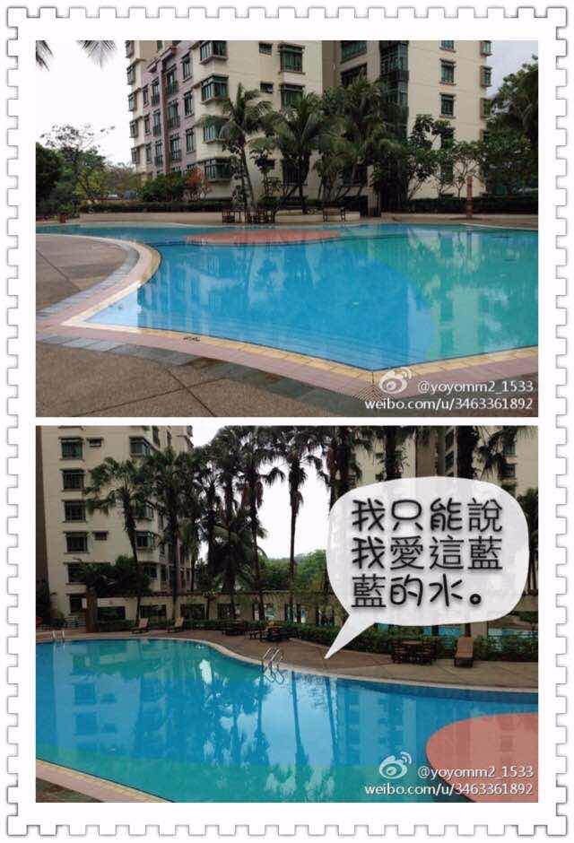 近油池（YEW TEE）公寓主人房出租 - Yew Tee Village 油池村 - 分租房间 - Homates 新加坡