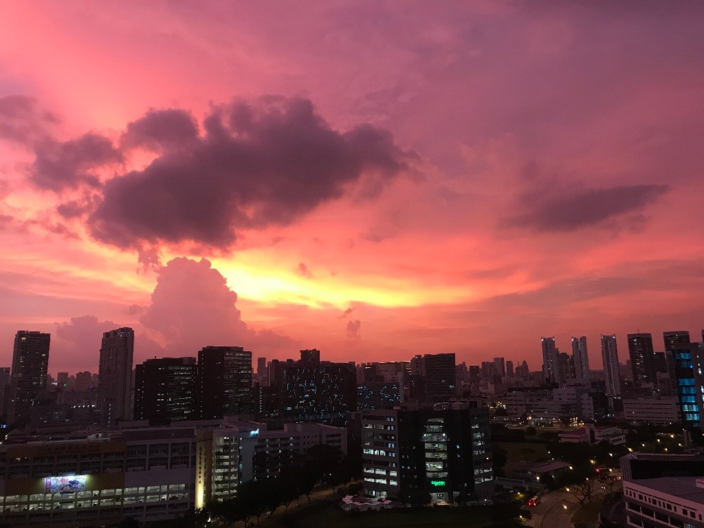 Re: Master Bedroom With a View  - Boon Keng - Bedroom - Homates Singapore