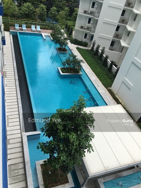 全新公寓单间出租 - Tampines 淡滨尼 - 分租房间 - Homates 新加坡