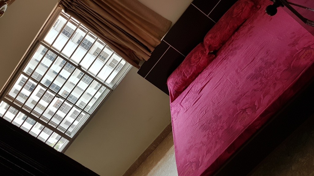 NEAR MRT ( JURONG WEST ST 52 ), QUICK REACH TO NUH NUS SIM - Lakeside 湖畔 - 整個住家 - Homates 新加坡