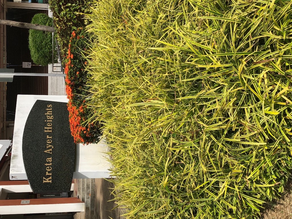 Room For Rent - Chinatown - Bedroom - Homates Singapore