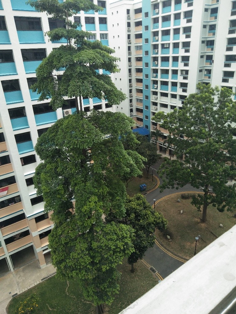 海军部(兀兰woodlands) 大牌786 普通房出租 月租700包水电网!!! 限女性2名, 随时拎包入住  - Admiralty 海军部 - 分租房间 - Homates 新加坡