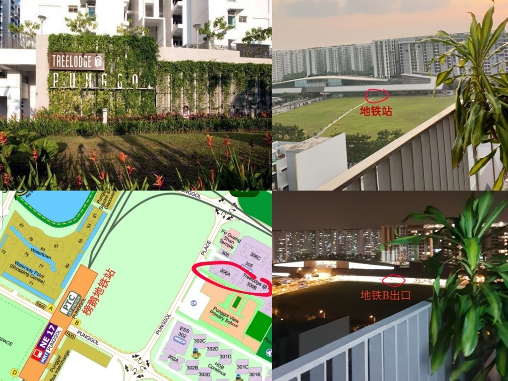 【Punggol】榜鹅地铁站3–5分钟，2间普通房出租(有照片)，随时入住，新家私/干净漂亮/高楼通风 - Punggol 榜鹅 - 分租房间 - Homates 新加坡