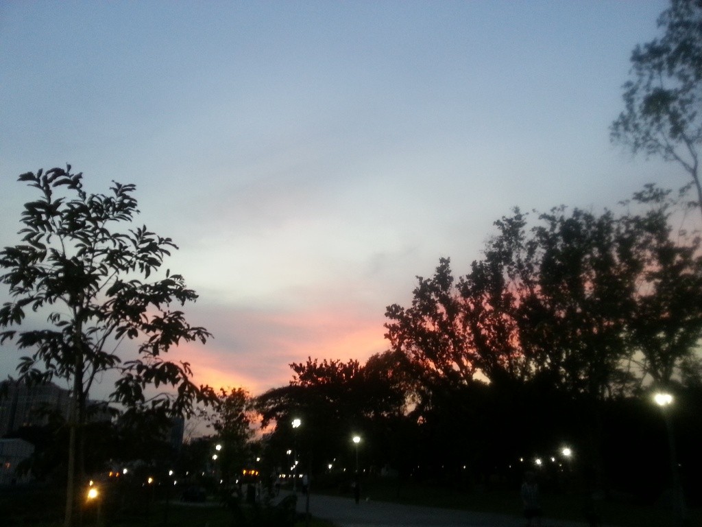 Single Room Rental  - Ang Mo Kio - Bedroom - Homates Singapore