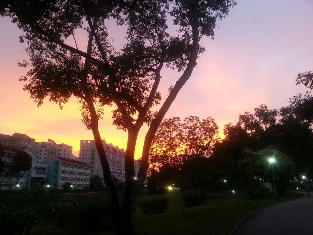 Single Room Rental  - Ang Mo Kio - Bedroom - Homates Singapore