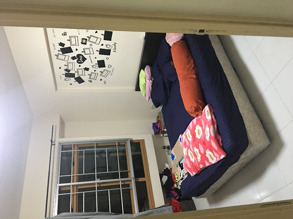 Sengkang 出租普通房 - Sengkang 盛港 - 分租房间 - Homates 新加坡