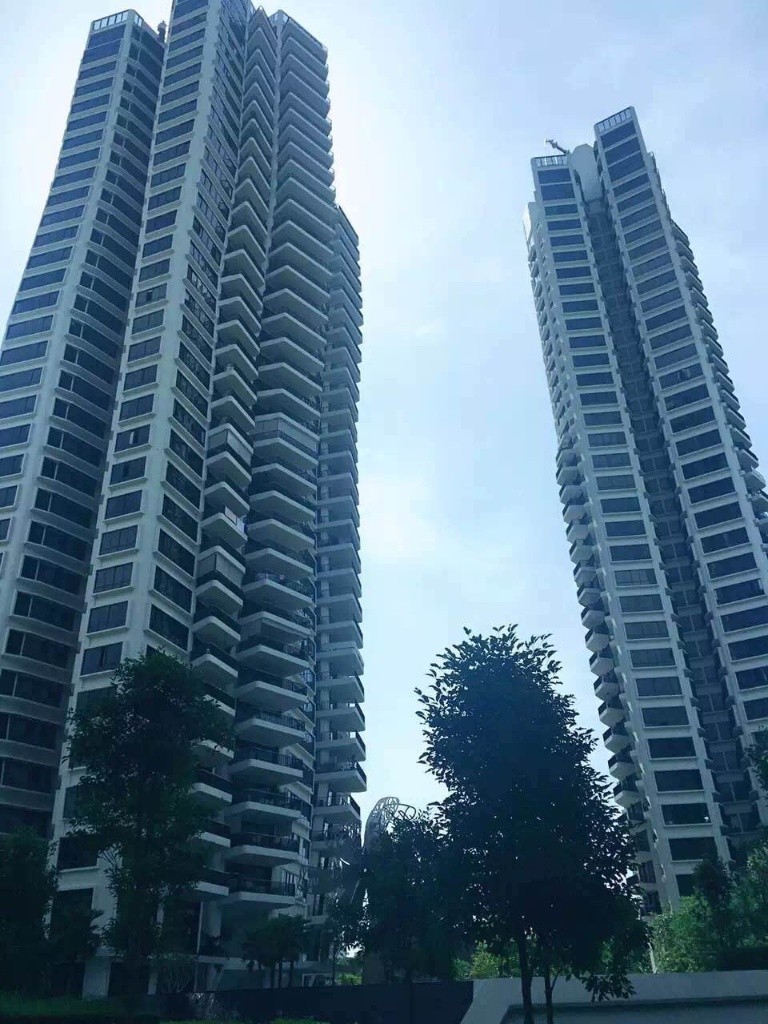  中心地段D'leedon超豪华公寓1+1整套出租  - Farrer Road - Flat - Homates Singapore