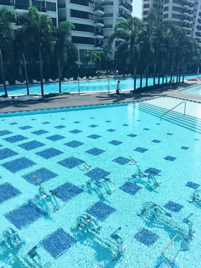  中心地段D'leedon超豪华公寓1+1整套出租  - Farrer Road - Flat - Homates Singapore