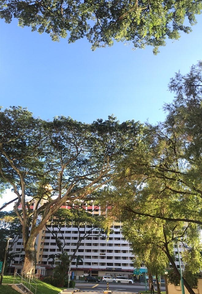 163 toa payoh lrg 1 2 pax clean quiet good location call 96626160 - Toa Payoh - Flat - Homates Singapore