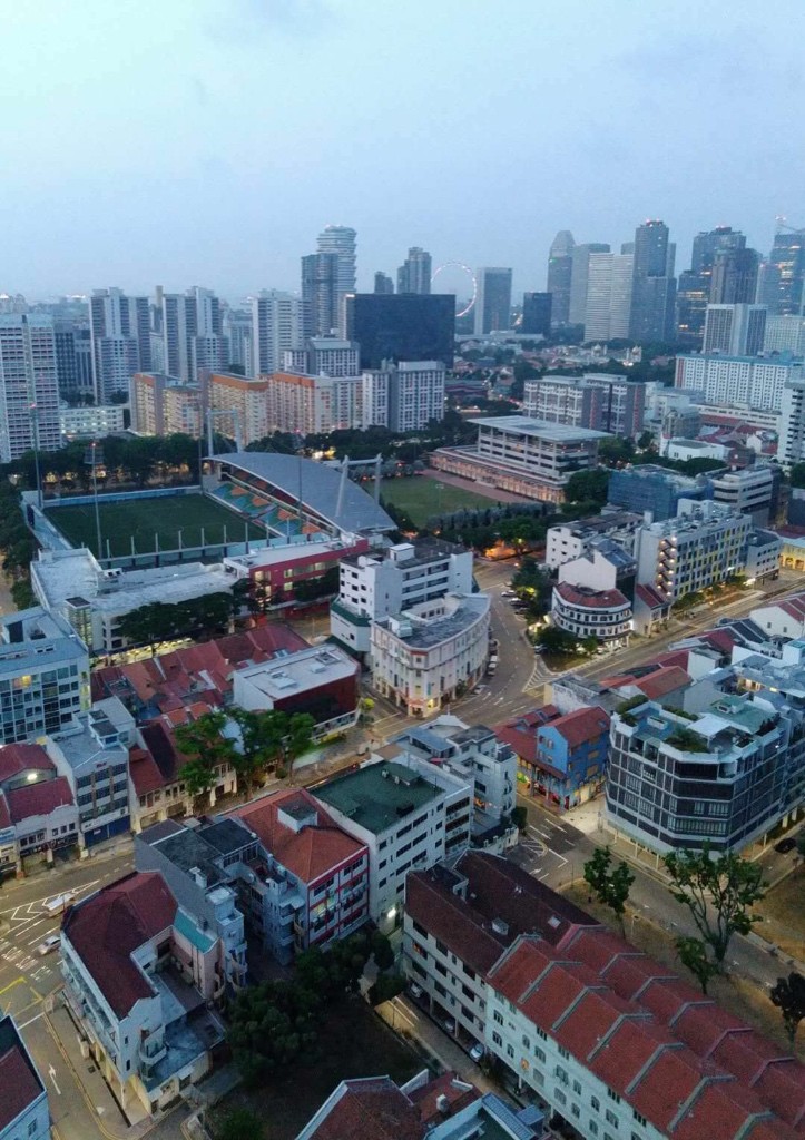 sturdee residences condominium for rent  - Farrer Park - Flat - Homates Singapore