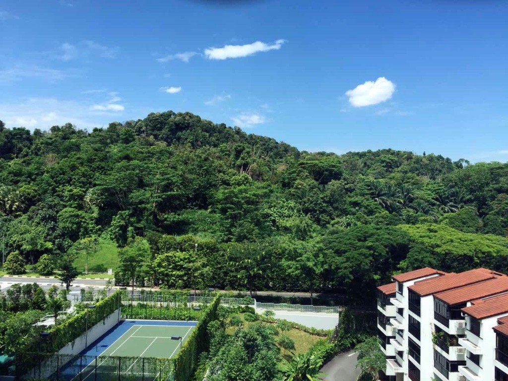 Hillview山景超美公寓普通房出租 - Hillview 山景 - 分租房間 - Homates 新加坡