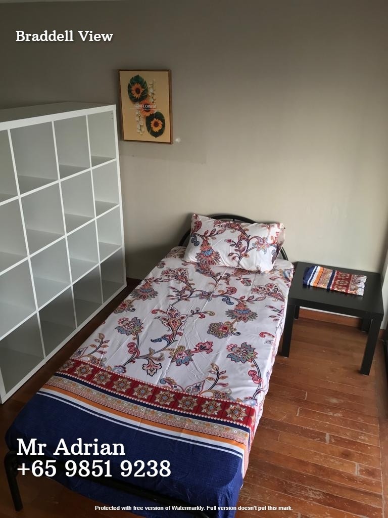 Common Room for Rent - Caldecott MRT - Braddell View - Caldecott - Bedroom - Homates Singapore