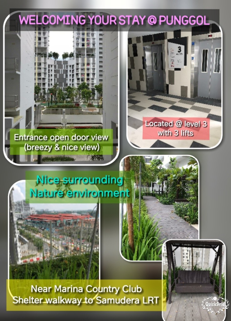 New room @ Punggol Samudera (LRT) - Punggol 榜鹅 - 分租房间 - Homates 新加坡
