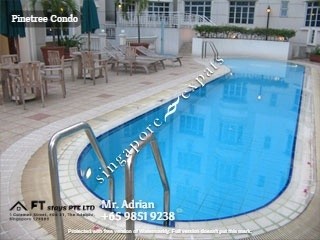 Superior Single Room - Stevens MRT - Pinetree Condo - Stevens - Bedroom - Homates Singapore