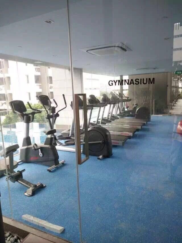 马里士他路（Balestier）公寓整套出租，无中介费，无屋主，房间安静 - Novena 诺维娜 - 整个住家 - Homates 新加坡