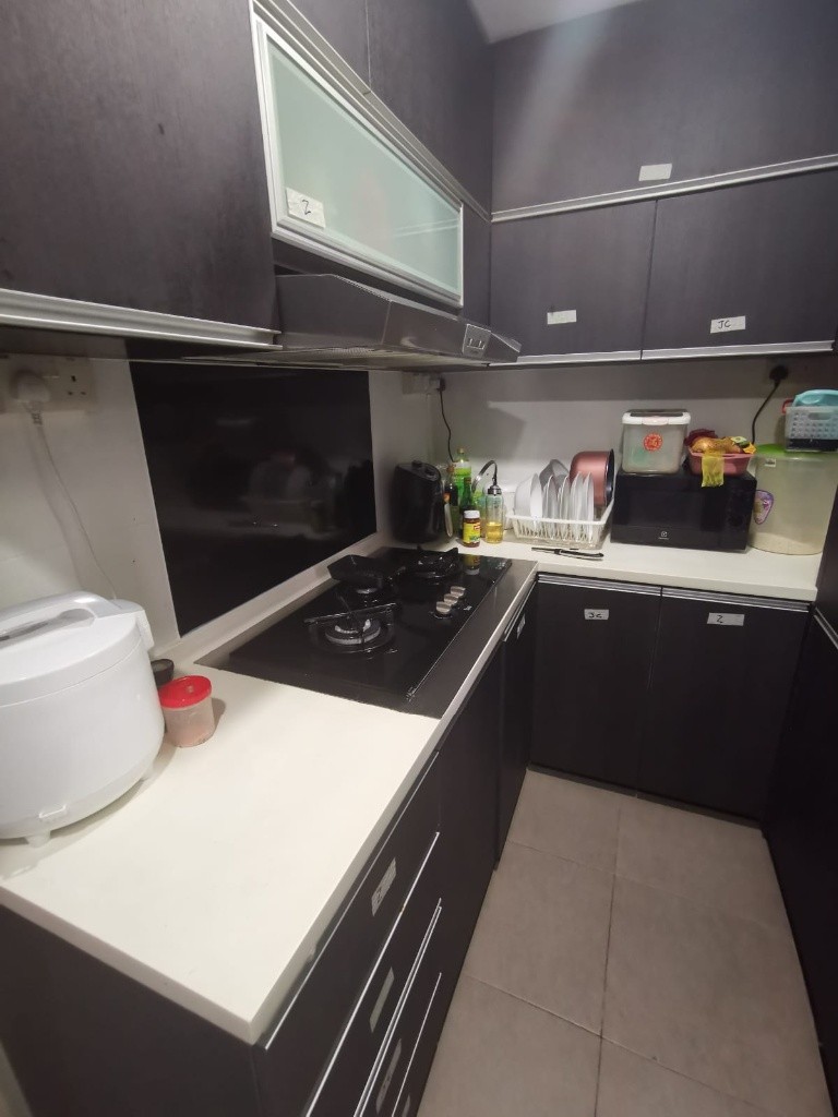 River Valley - Langston Ville - River Valley 里峇峇利 - 分租房间 - Homates 新加坡