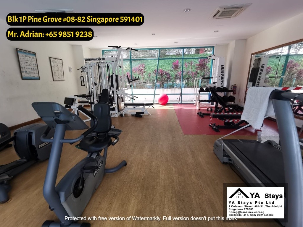 Bouna Vista MRT - Gym/Pool Condo - Pine Grove - Common Room - Buona Vista - Bedroom - Homates Singapore